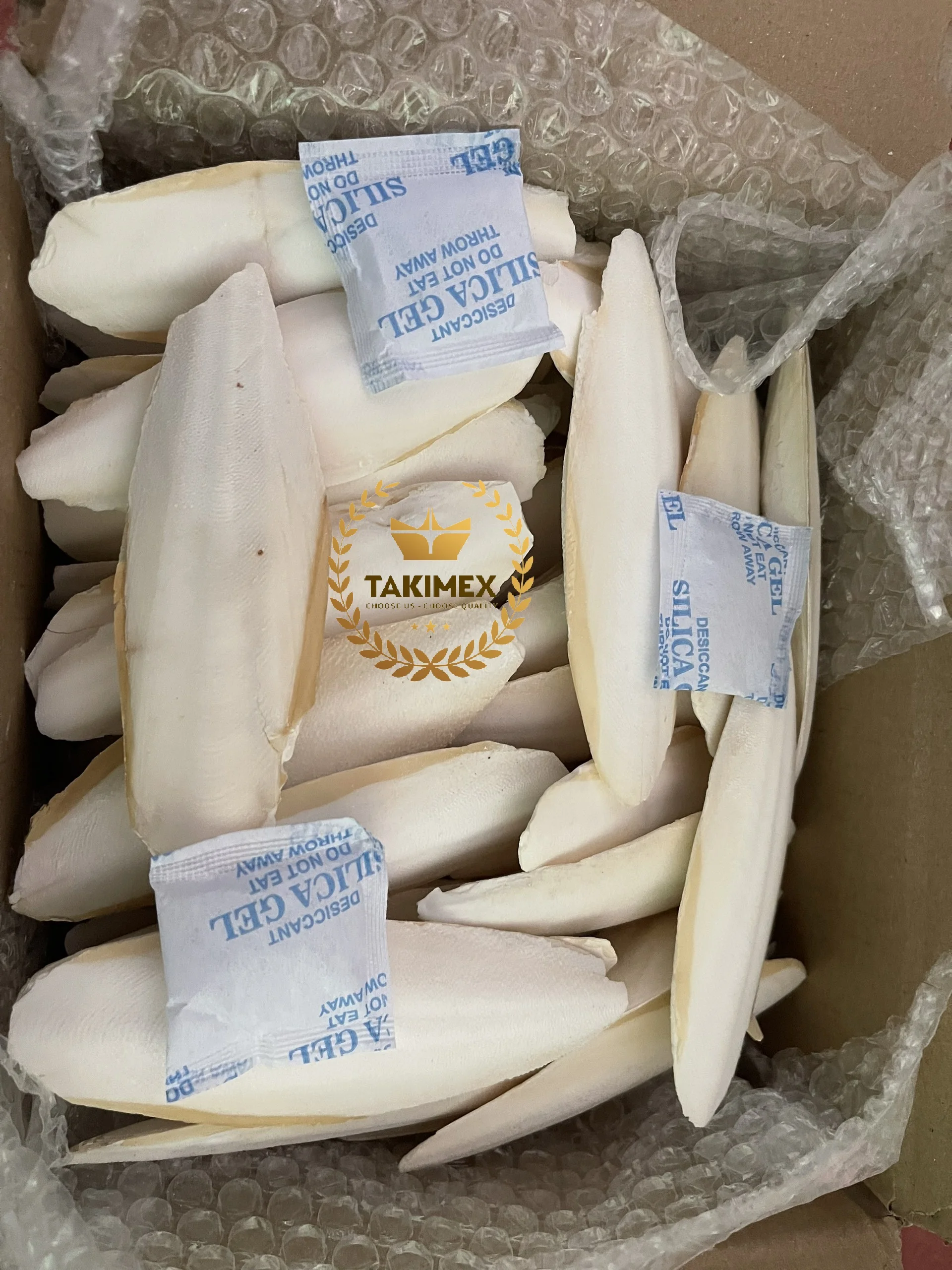 Very High Quality Dried Cuttlefish Bone/ Cuttle Bone/ Sepia Bone