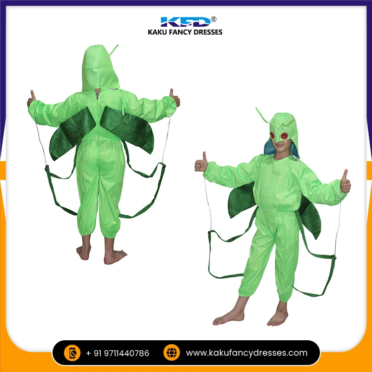 Trendy Design Insect Grasshopper Costumes In Green Color For Kids ...