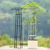 multi