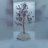 As a Picture