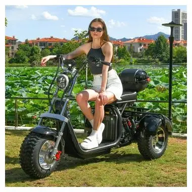 DOTMALL EHoodax 05WQ Electric Tricycles 18 Inch Fat Electric Scooter 2000W Motor 150KG Max Load 20000mAh Battery Black
