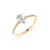 Rose d'or