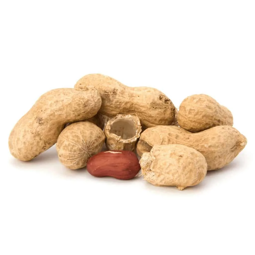 High Nutrition Benin Peanut Organic Protein Seed Jumbo Peanuts