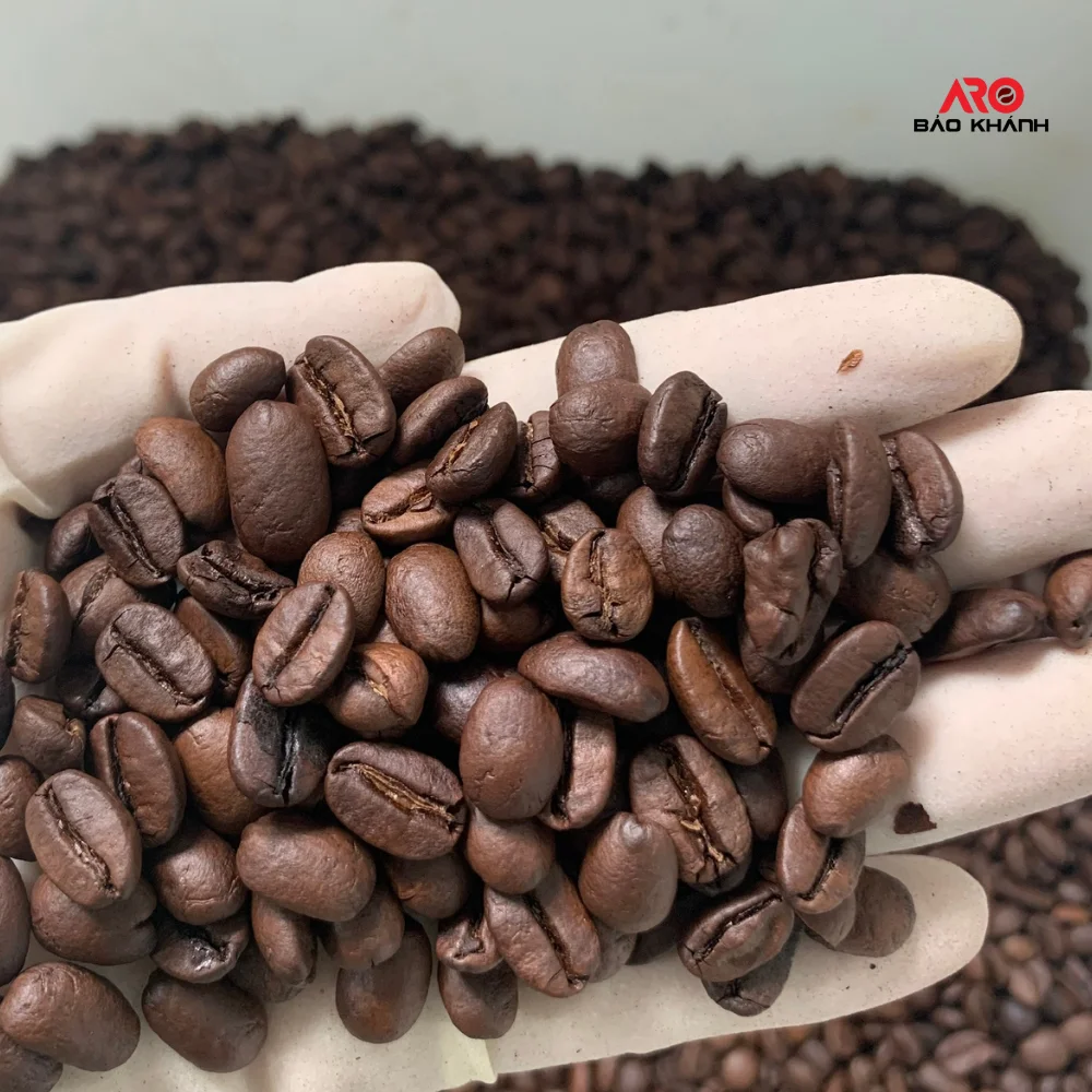 越南咖啡烘焙咖啡豆纯罗布斯塔优质深色烘焙1千克巧克力回味接受OEM优惠价格