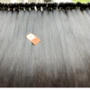 weft08