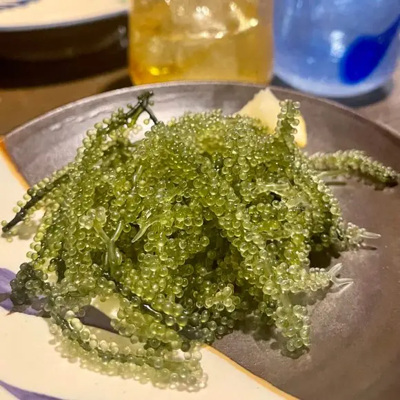 Salted Sea Grapes // Dehydrated Sea Grapes // Ms.dora Buy Sea Grapes