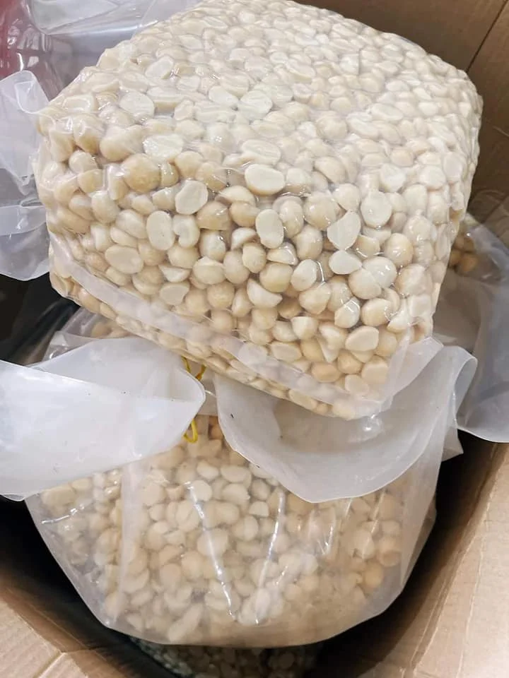 Macadamia Nuts Dried Grown In Vietnam At The Most Competitive Price