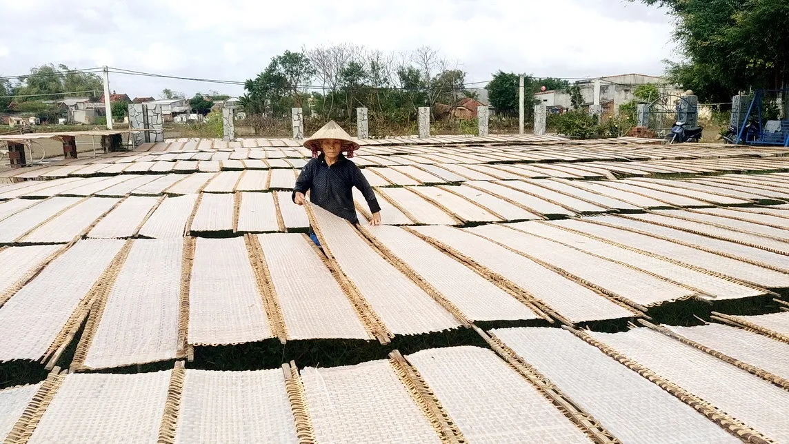 Oem/odm Spicy Shrimp Rice Paper Fresh Ingredients Bag Box Packaging Premium Dairy Snacks From