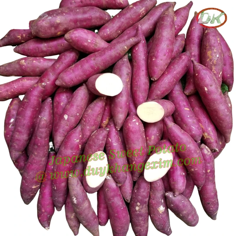 Japanese Sweet Potato In 2024 Buy Vietnam Sweet Potato Fresh Peeled