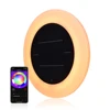 Solar Power LED Pool Light