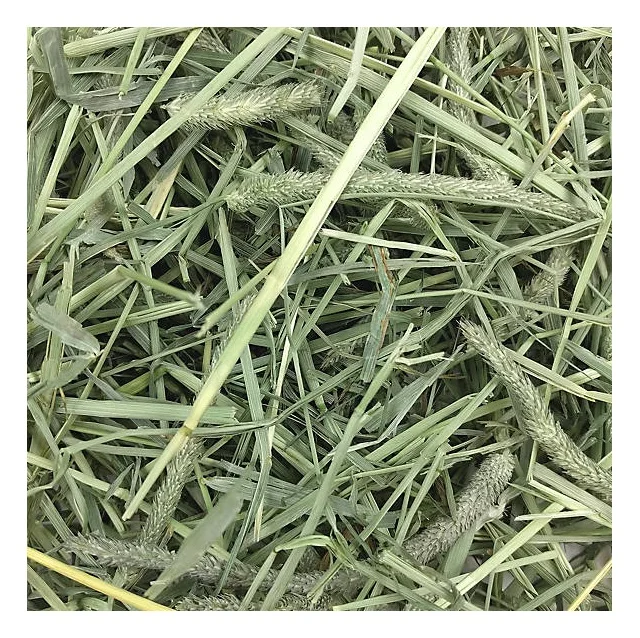 Alfalfa (lucerne) Hay/timothy Alfafa Hay/ Cheap Alfafa Hay For Animal