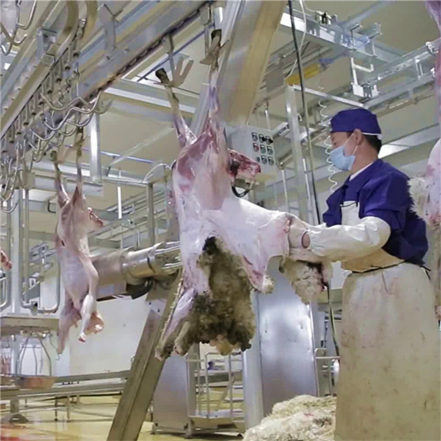 Sheep goat automatic slaughtering and meat processing production line halal compliant slaughterhouse equipment