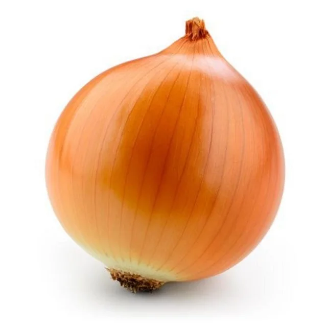 588151.jpg