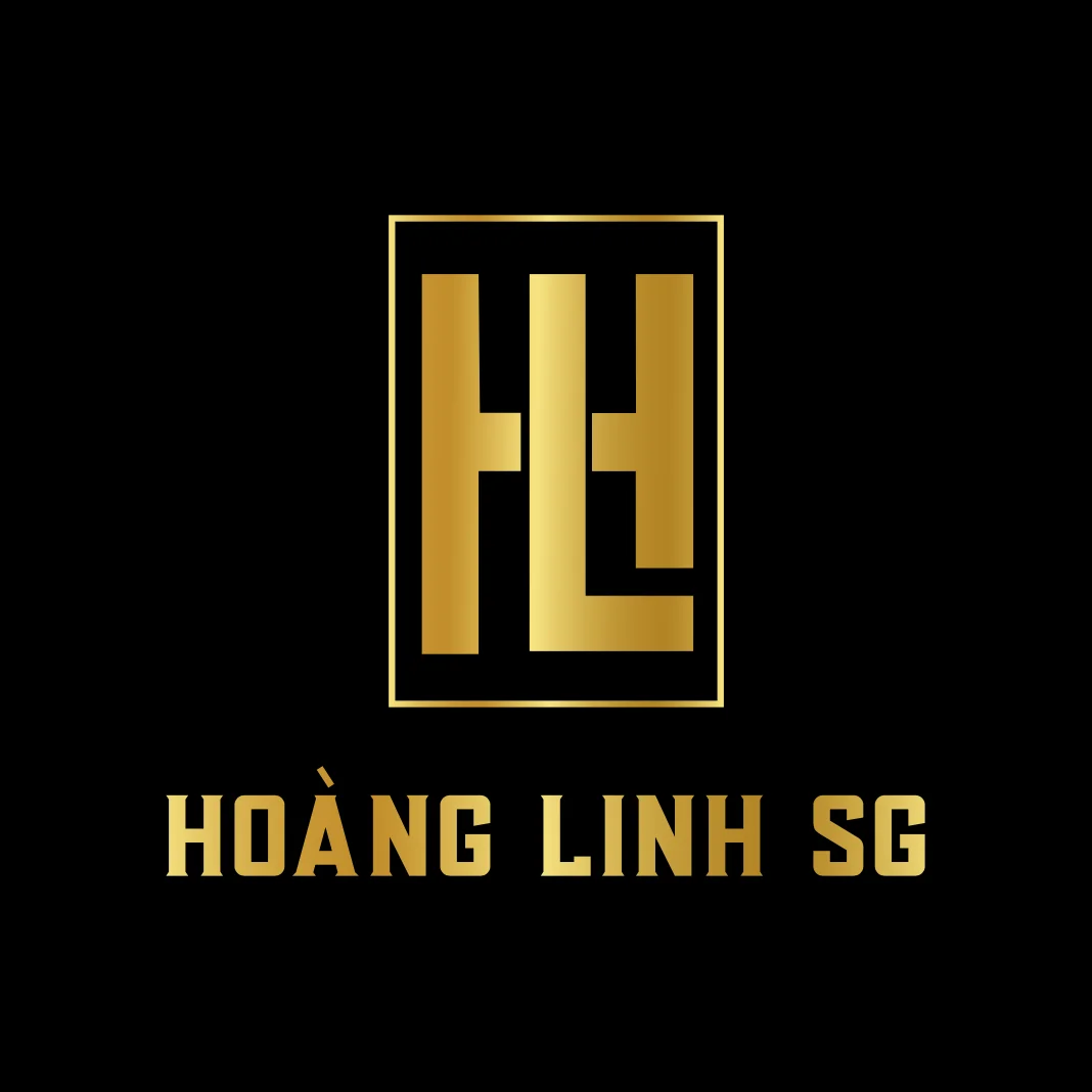 Company Overview - HOANG LINH SG MANUFACTURING COMPANY LIMITED