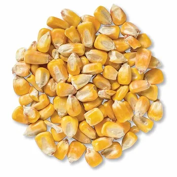 Yellow Corn / White Corn / Maize for Sale Yellow Corn Grade 1 Specification Wheat Grain for Animal Feed Grade