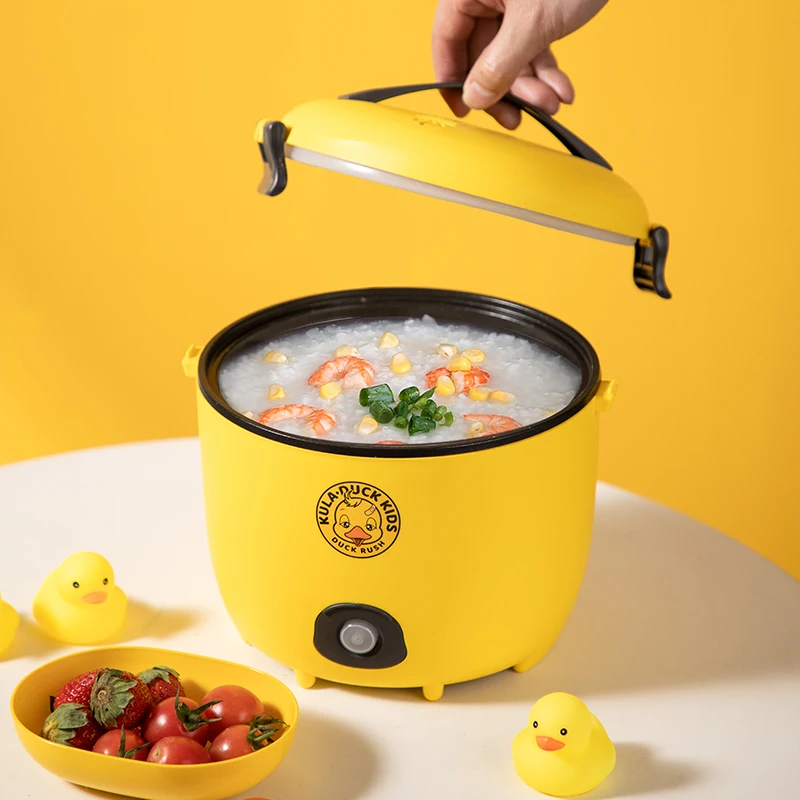 multifunction mini rice cooker