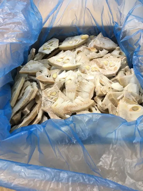Premium Frozen Jackfruit Canned Delicious Frozen Green Jackfruit