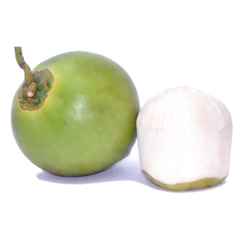 Свежий зеленый молодой кокосовый кокос высшего качества Лучшая цена кокос для оптовых продаж сделано в Бен Тре, Вьетнам