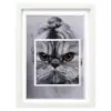 Cat face 1
