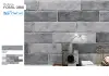 GRIS FOSSILE