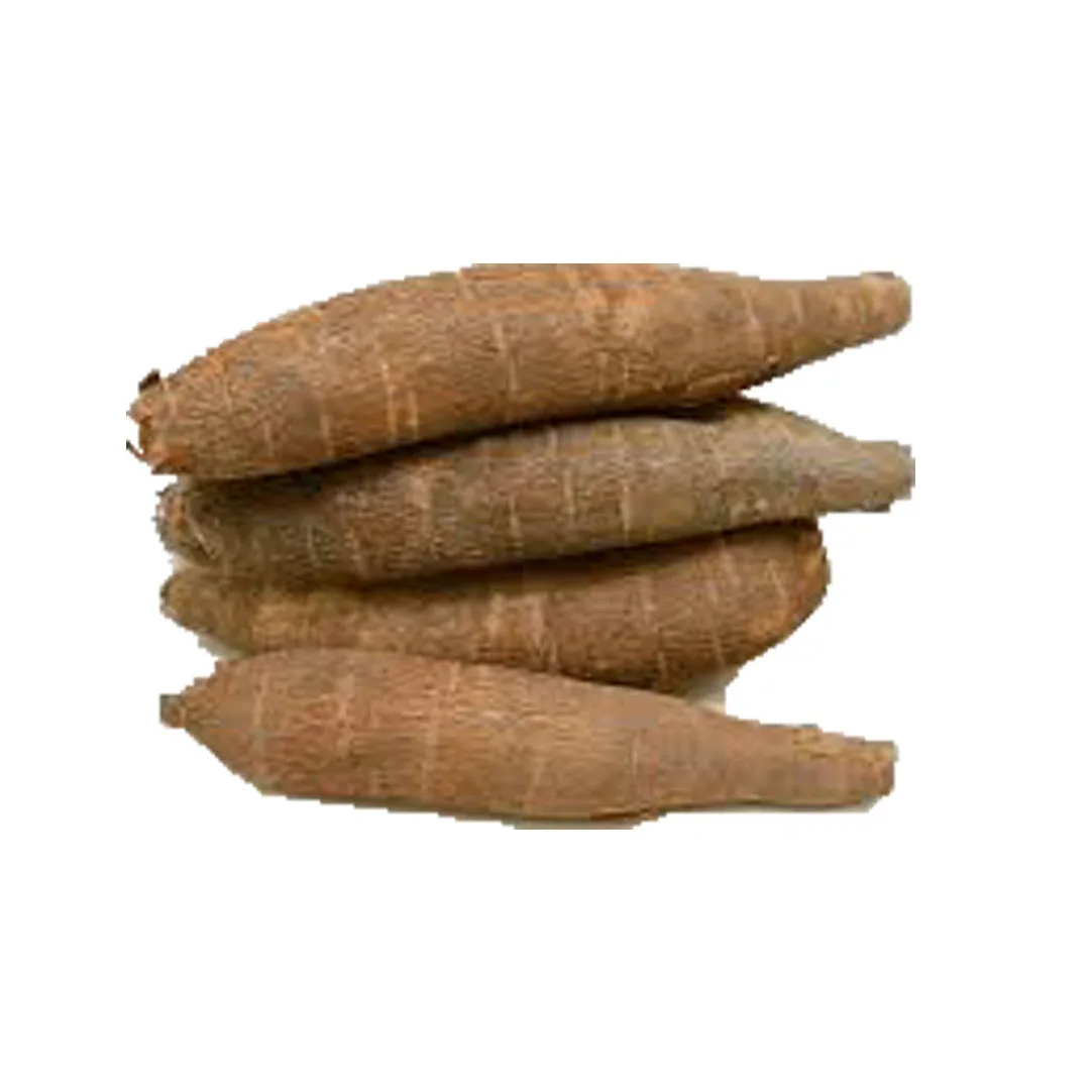 Fresh Cassava/fresh Cassava Root - Cassava - Best Price - Buy Top ...