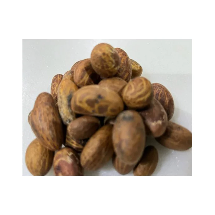 Fresh Raw Bitter Kola At Unbeatable Wholesale Rate Perfect For Health