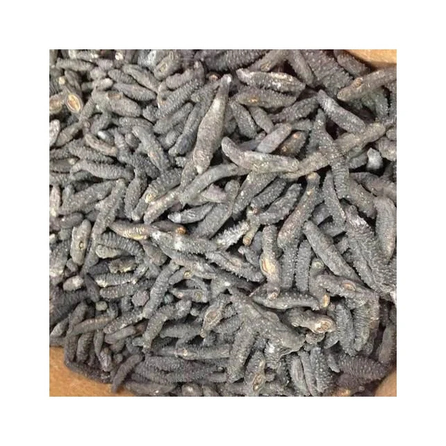 Bulk Dried Sea Cucumber/ Sea Cucumber For Sale Buy Dried Sea Cucumber