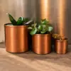 Set Of 3 Pieces Set (7-10-14,5cm)