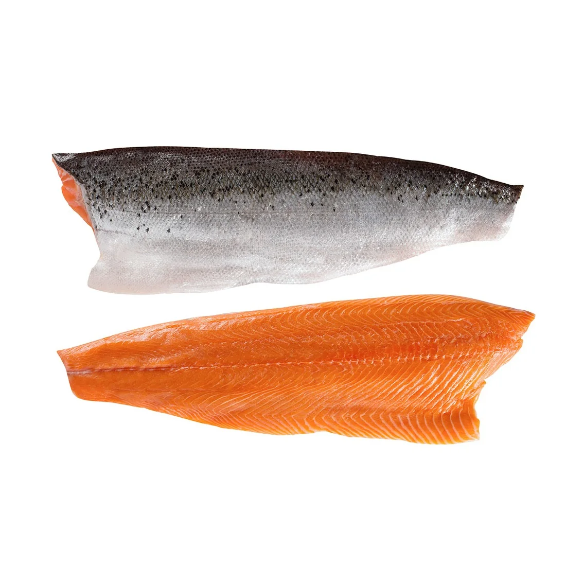 Wholesale Price Supplier Of Fresh / Frozen Salmon Fillets Trim C/d