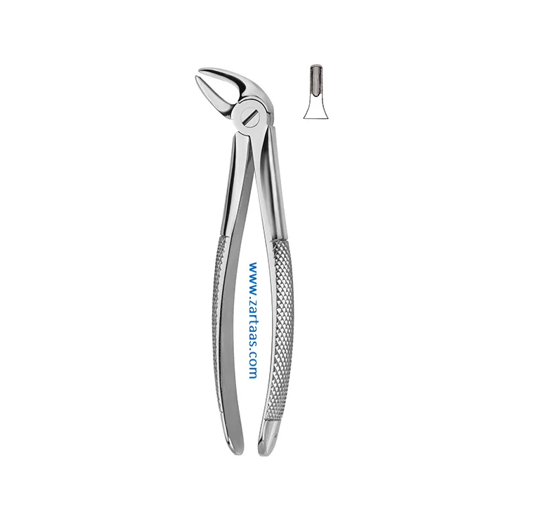 High Quality Stainless Steel Tooth Extracting Forceps Fig.4 Lower Canines and Bicuspids Surgical Dental Oral Surgery Tool