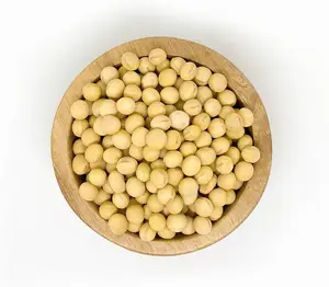 High Quality Organic Non-GMO Soya Beans Yellow Soybeans at Best Market Rates Fresh Soya for Sale