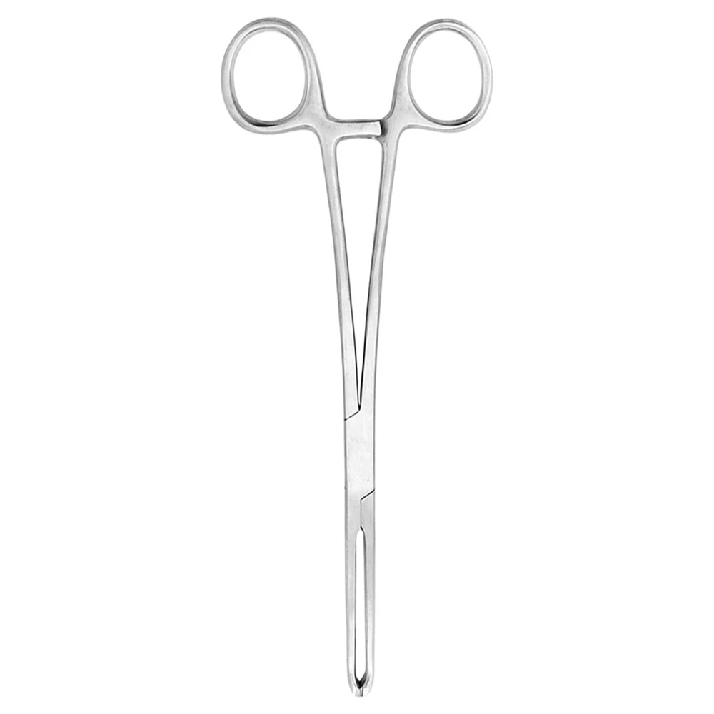 Forceps Tissue Allis 5x6th Tc Surgical Allis Tissue Forceps Tc Allis ...