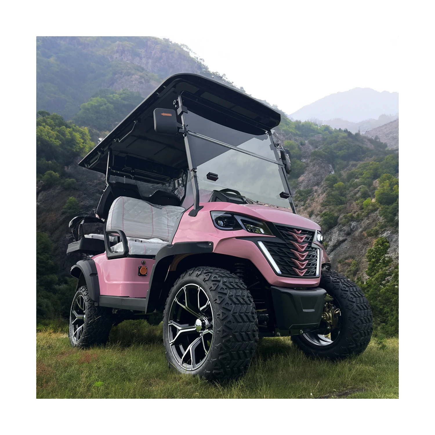 Best 72V Lithium Commercial Seats Offroad Golf Buggy Street