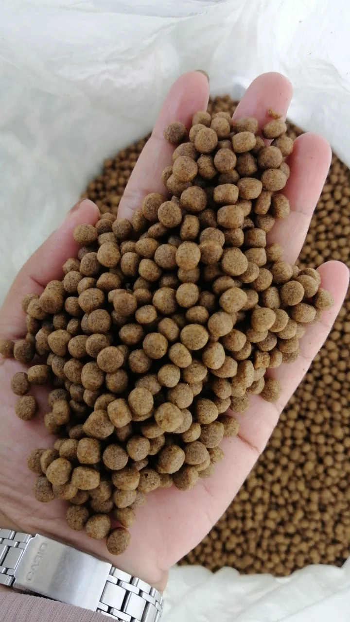  Unlocking Aquatic Growth: A Deep Dive into High-Protein Fish Pellets