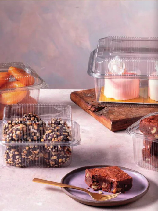 Packaging Boxes 1000cc Plastic Leak Proof Container Disposable Leak