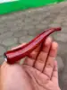 Igual que se muestra.