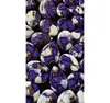 Purple+White