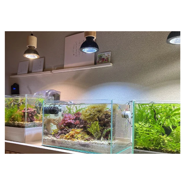 SUSANOO 10W Waterproof Marine Aquarium LED Light for Growing