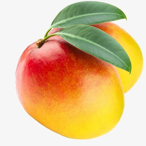 Fresh Mango 2.jpg