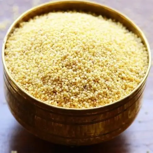 MILLET3.jpg