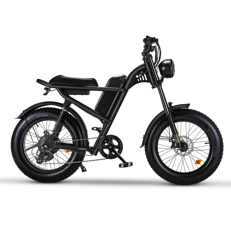 E-Bike RIDING’TIME Z8 20*4.0 inch mountain electric bike 48V 15.6A 500W