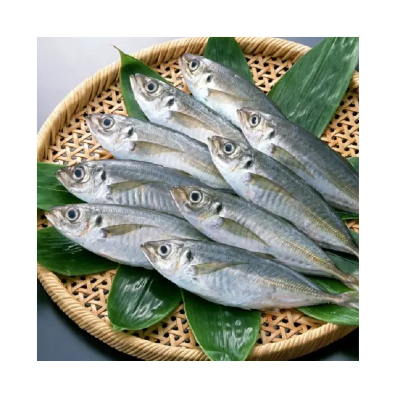Horse Mackerel Fish Big Eye Mackerel Fish Japanese Horse Mackerel
