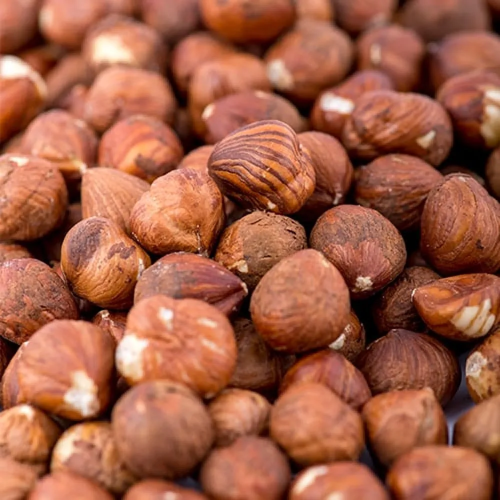 Hazelnuts 11.jpg