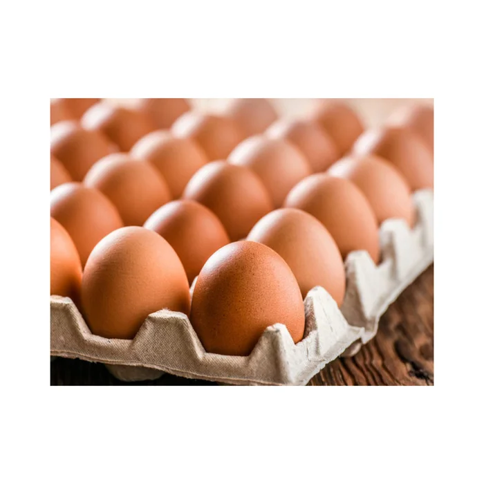 Лучшее качество коричневые свежие столовые куриные яйца плодородные для использования в пищу оптом с фермы