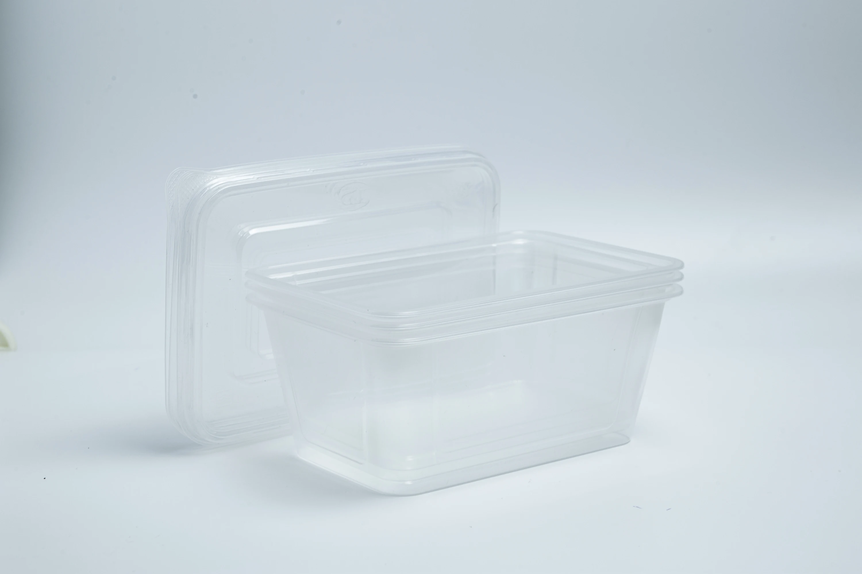 Three Compartments Disposable Ps Foam Food Container Foodsaver ...