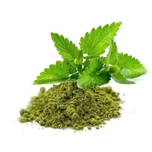 Pure Holy Basil Leaves Extract Powder Ursolic Acid Tulsi Ocimum Sanctum