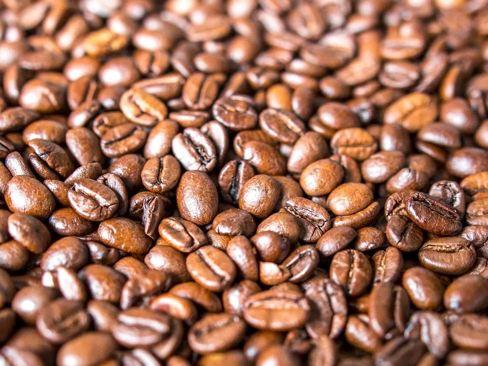 TOP QUALITY ROASTED COFFEE BEANS AT WHOLESALE PRICE