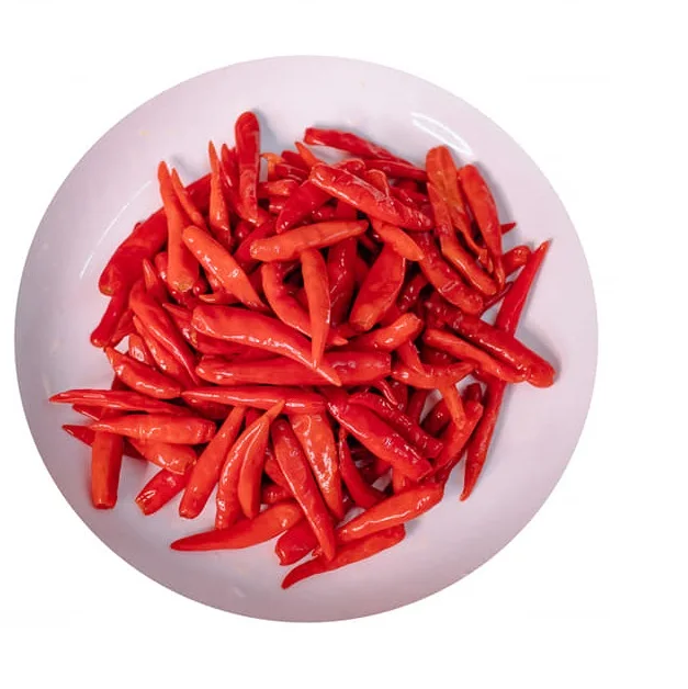 Vietnam Supplier Canned Red Chili Pickled Green Chilli Satled Chilli in Jar Canned Vegetables - WA 0084 989 322 607