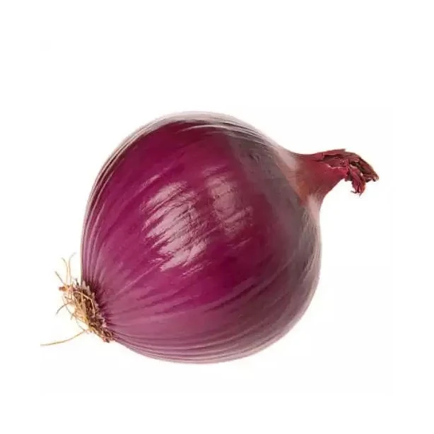 Свежий красный лук для продажи