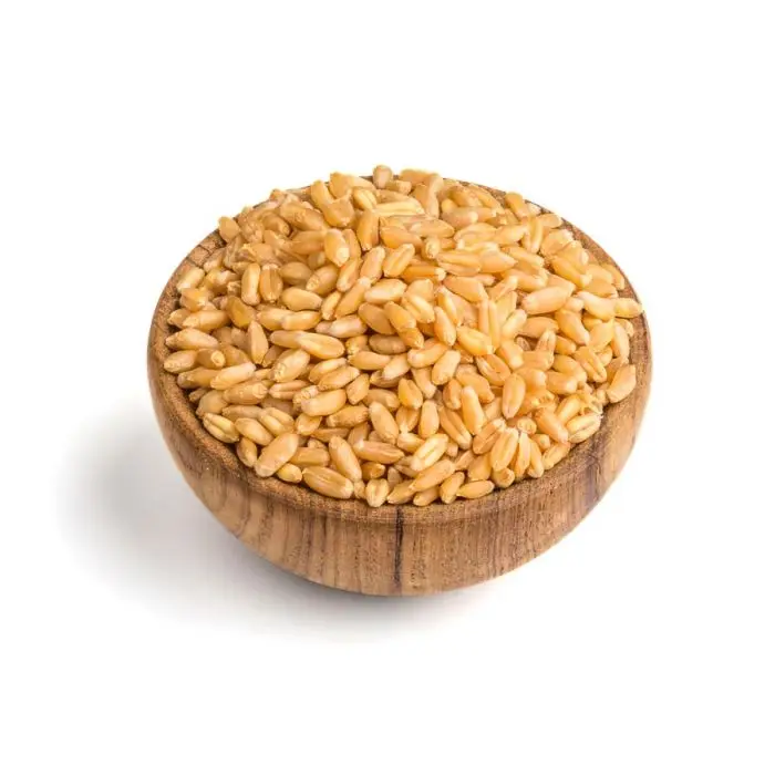 wheat_whole..jpg